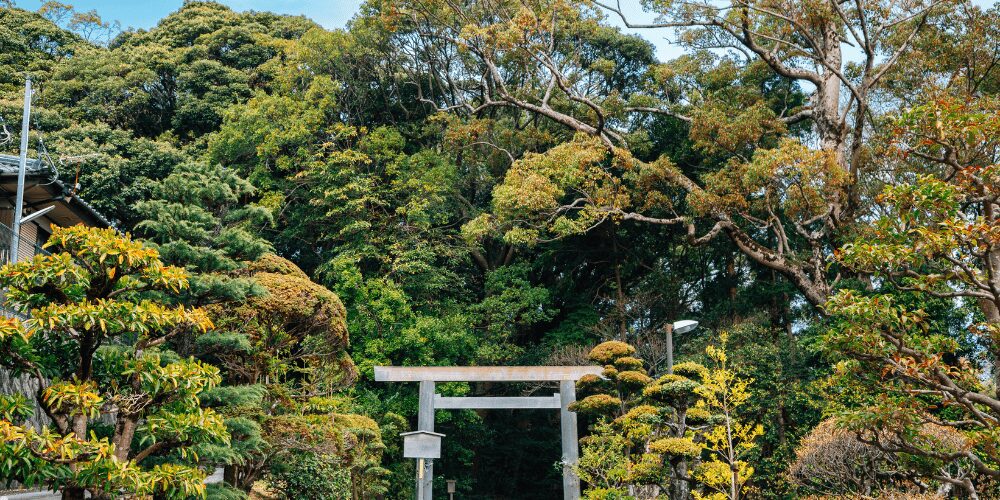 伊勢神宮参拝きっぷとまわりゃんせの違い