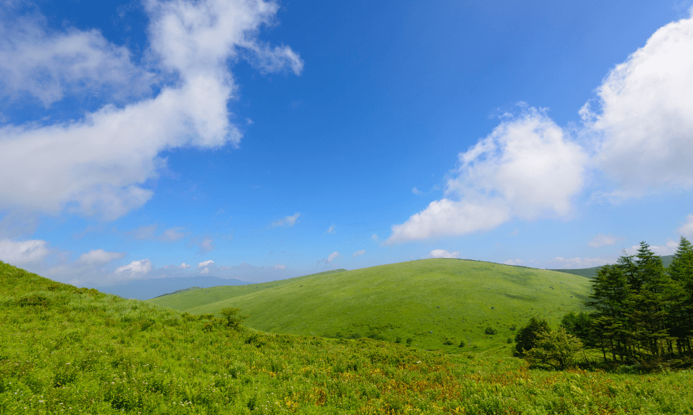 涼しい長野の避暑地スポット 霧ヶ峰高原